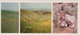 Onager - Kopet Dagh Nature Reserve - 1985 - Turkmenistan USSR - Unused - Turkménistan