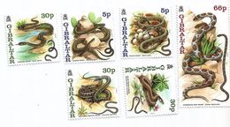 1991 Gibraltar  Year Of The Snake Complete Set Of 7  MNH - Gibraltar