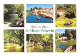 CPM - Balade Dans Le Marais Poitevin - Pays De La Loire