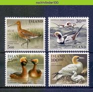 Mza055 FAUNA VOGELS EEND FUUT DUCK BOOBY ENTE BIRDS VÖGEL AVES OISEAUX IJSLAND ISLAND 1988 + 1991 PF/MNH - Collections, Lots & Series