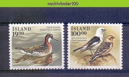 Mza056 FAUNA VOGELS BIRDS VÖGEL AVES OISEAUX IJSLAND ISLAND 1989 PF/MNH - Collections, Lots & Series