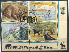 Nations Unis - Ob N° 628 à 631 -  Espaces Animales Menacées - Used Stamps