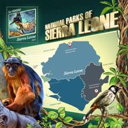 Sierra Leone 2017, Animals Parks, Kingfisher, BF - Albatros