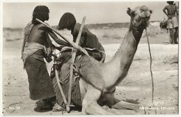 Mata Hara, Ethiopia - Loading Of Camel , Old Postcard - Ethiopie
