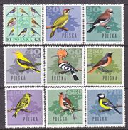 POLAND  1452-60    **    FAUNA   BIRDS - Piciformes (pájaros Carpinteros)