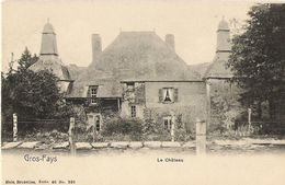 Gros-Fays (Bièvre) - Le Château - N'a Pas Circulé - Dos Simple - Nels Série 40 N° 230 - SUPER - Bievre