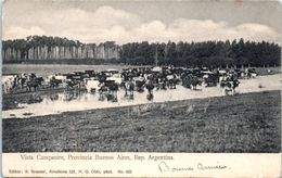 AMERIQUE -- ARGENTINE - BUENOS AIRES  -  Vista Campestre , Provincia - Argentinien