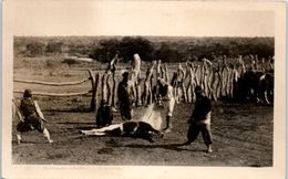 AMERIQUE -- ARGENTINE - Carte Photo Rare - Argentinië