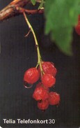 SUECIA. SE-TEL-030-0263. Bilberries - Röda Vinbär. 1997-09. (480) - Schweden