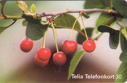 SUECIA. SE-TEL-030-0356. Cerezas - Cherries - Körsbär. 1998-09. (484) - Schweden