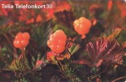 SUECIA. SE-TEL-030-0353. Cloudberries - Hjortron. 1998-07. (486) - Schweden