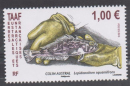 T.A.A.F. - Faune - Poisson (Lepinothen Squamifrons) - - Unused Stamps