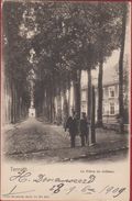 Ternat Ternath La Dreve Du Chateau Kasteel Kasteeldreef 1909 Geanimeerd - Ternat