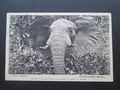 DR Kolonie DOA Stempel Lindi Deutsch Ostafrika. PK Elefant. Jambo Tembo. Kunstverlag C. Vincenti Dar-Es-Salaam - Colonia: Africa Oriental