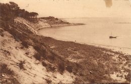 Cpa La Tranche Sur Mer La Belle Henriette - Cricket