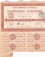 Action Ancienne - Société Commerciale Et Industrielle Des Palmeraies Africaines - Titre De 1920 - - Afrika