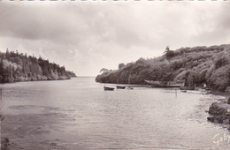 29.  LA FORET FOUESNANT . RARETE. ANSE DE SAINT LAURENT  ANNÉES 50. - La Forêt-Fouesnant