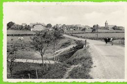 Naômé (Bièvre) - Pont Route Sur Ruisseau La Goutelle - Circulé 1978 - Edition : Maison Hermand, Epicerie, Naômé  - SUPER - Bièvre