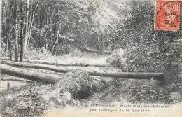 Paris, Bois De Vincennes - Route Et Rivière Obstruées Par L'ouragan Du 16 Juin 1908 - Carte Gondry N° 45 - Catastrophes