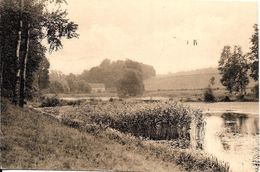 Bruxelles (1160) : Etang De Rouge Cloître à Auderghem. CPA. - Oudergem - Auderghem