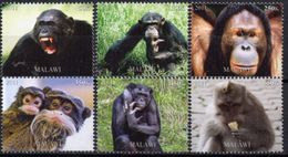 Faune Africaine, Singes Divers - 6 Timbres Neufs 2011 // Mnh - Mono