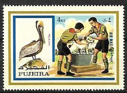 Fujeira 1972 - MNH - Brown Pelican (Pelecanus Occidentalis) - Scouts - Pelikane
