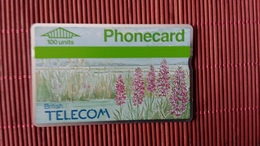 Phonecard UK 100 Units 022 H (Mint,Neuve) Rare - BT Allgemeine