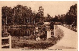 BRINON SUR SAULDRE - L’ÉTANG DES REAUX - Brinon-sur-Sauldre