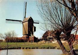 Kruystraete         59         Moulin A Vent     10 X 15       ( Voir Scan) - Andere & Zonder Classificatie