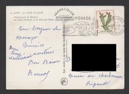 DF / MONACO SUR CARTE POSTALE / TP 543 CACTUS NOPALEA DEJECTA / PLANTES FLORE / CIRCULÉE EN 1964 - Covers & Documents