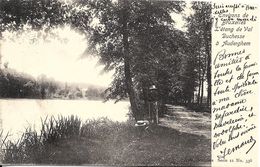 Bruxelles (1160) : Environs De Bruxelles - L'Etang De Val Duchesse à Auderghem. Petite Animation. CPA Précurseurs. - Oudergem - Auderghem