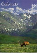 CPM Rocky Mountain National Park (bull Elk) - Rocky Mountains