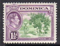 Dominica 1938-47 GVI 1½d Pictorial Definitive, Hinged Mint, SG 101 - Dominica (...-1978)