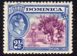 Dominica 1938-47 GVI 2½d Pictorial Definitive, Hinged Mint, SG 103 - Dominique (...-1978)