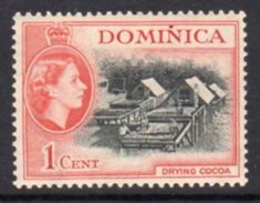 Dominica 1954-62 QEII 1c Drying Cocoa Definitive, MNH, SG 141 - Dominica (...-1978)