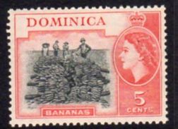 Dominica 1954-62 QEII  5c Bananas Definitive, MNH, SG 146 - Dominique (...-1978)