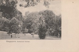 CPA  SINGAPOUR BOTANICAL GARDEN AVANT 1904 - Singapore