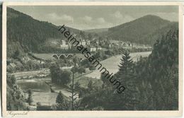 Ziegenrück - Blick Von Der Nemitzklippe - Verlag Rich. Zieschank Rudolstadt - Ziegenrück