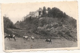 Delcampe - *** LUXEMBOURG ****  WILTZ  Le Château Et Troupeau De Vaches - TTB (sauf Timbre Décollé) - Wiltz