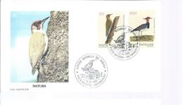 Vatican FDC 13/6/89 :  Pic Et Oiseau Divers - Specht- & Bartvögel