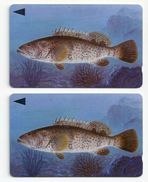 Bahrain - Grouper Fish Of Bahrain - 39BAHS (Different Serials - Probably (O-Ø);; 1996, Used - Baharain