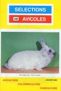 SELECTIONS AVICOLES AVICULTURE COLOMBICULTURE CUNICULTURE  JANVIER 2005  No 436 - Animales