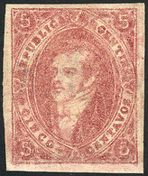 ARGENTINA: GJ.25B, Splendid Example In Intense Rose Color, Mint Full Original Gum - Oblitérés