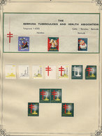 BERMUDA: FIGHT AGAINST TUBERCULOSIS: Old Collection On Album Pages With More Than - Erinnophilie