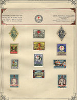 BRAZIL: FIGHT AGAINST TUBERCULOSIS: Old Collection On Album Pages With More Than - Autres & Non Classés