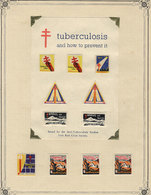 IRELAND: FIGHT AGAINST TUBERCULOSIS: Old Collection On Album Pages With About 250 - Erinnophilie