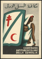 ITALIAN SOMALILAND: FIGHT AGAINST TUBERCULOSIS: Beautiful PC Of 1953 Designed By - Somalie