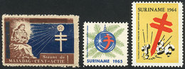 SURINAME: FIGHT AGAINST TUBERCULOSIS: 3 Cinderellas Of 1947 And 1964/5, Fine Qual - Erinnophilie