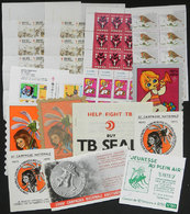 WORLDWIDE: FIGHT AGAINST TUBERCULOSIS: Year 1973: Several Hundreds Cinderellas (m - Other & Unclassified