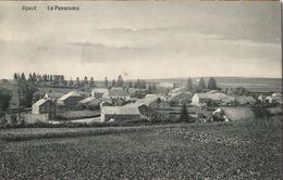 Opont - Beau Panorama Très Ancien - Circulé 1910 - SUPER - Paliseul